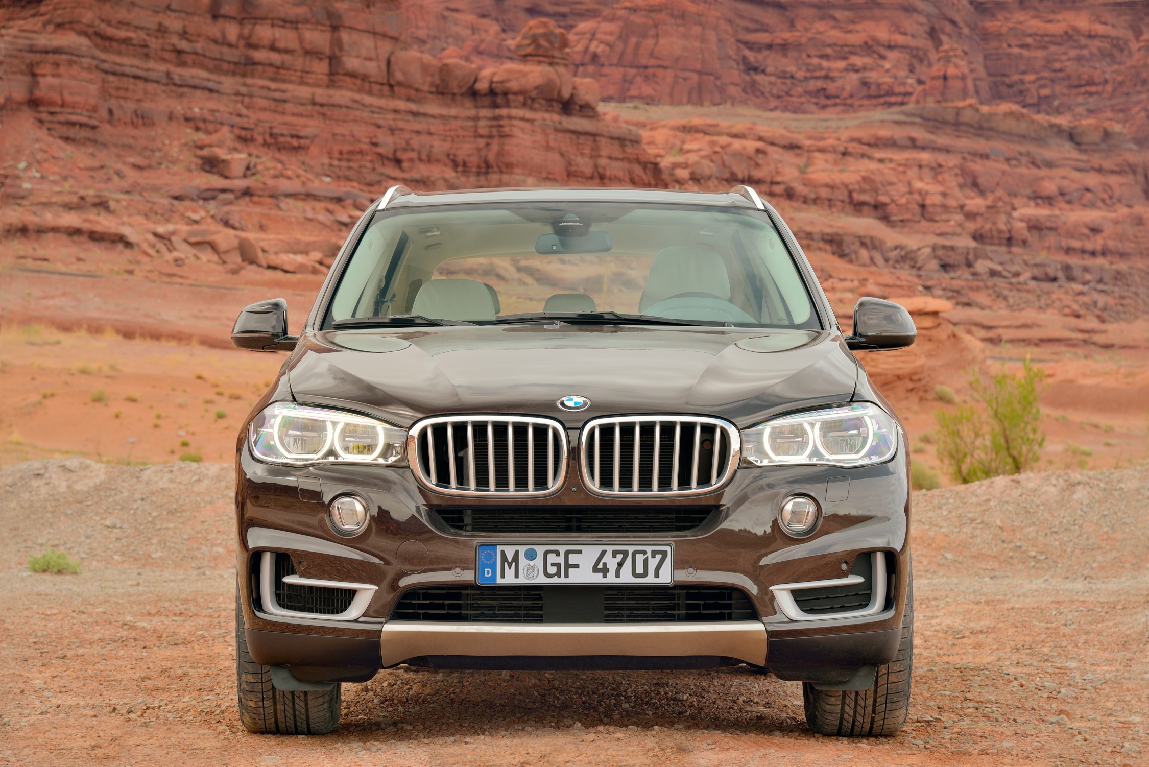 BMW X5 2014 - внешний вид